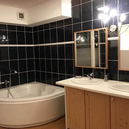 Appartement La Datcha Besse-et-Saint-Anastaise